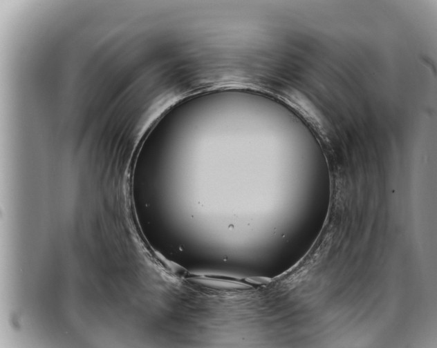 X0000097511190200802291612