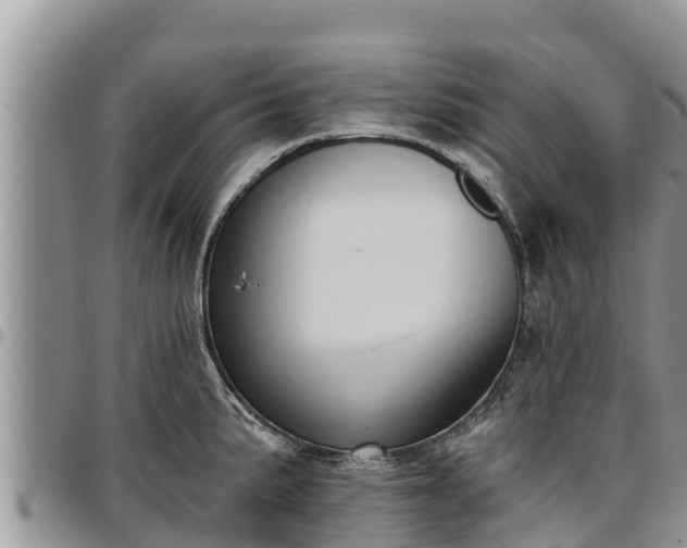 X0000097511191200802291612