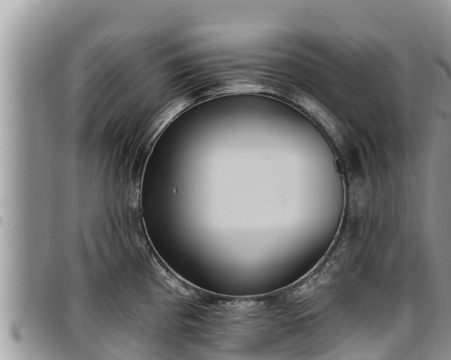X0000097511193200802291612