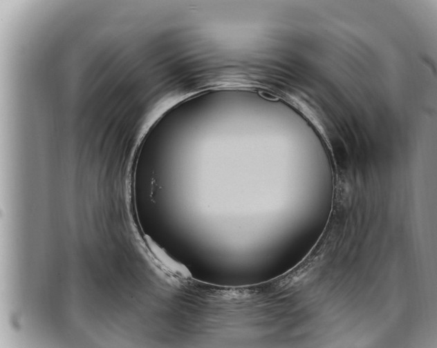 X0000097511195200802291612
