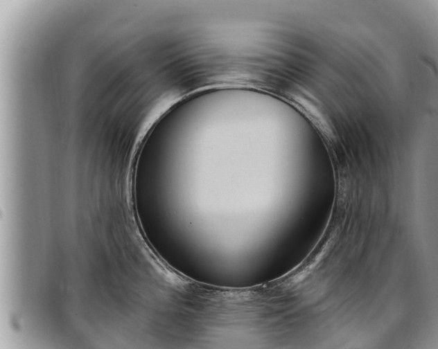 X0000097511196200802291612