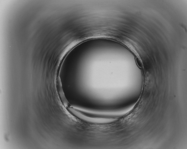 X0000097511197200802291612