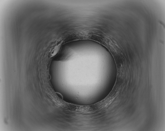 X0000097511201200802291612
