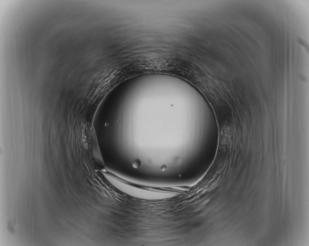 X0000097511202200802291612