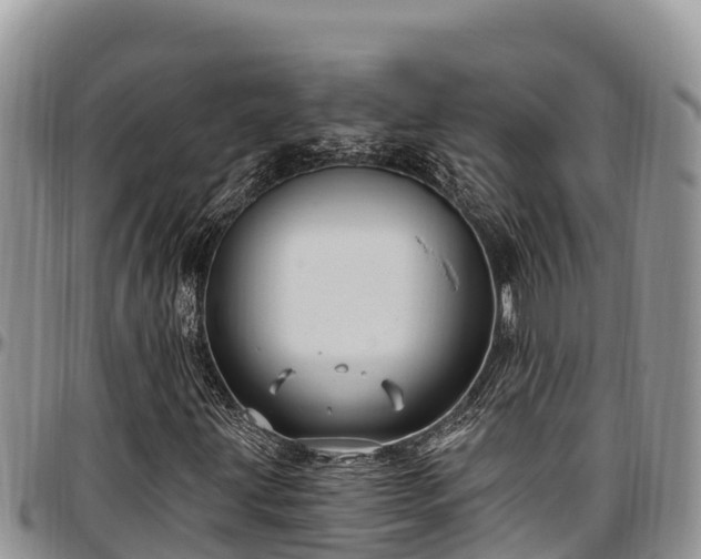 X0000097511203200802291612
