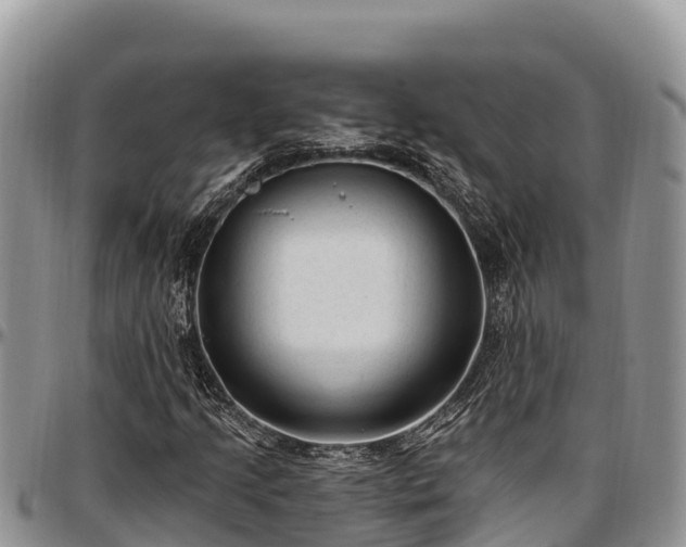 X0000097511205200802291612