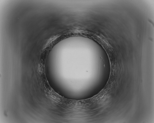 X0000097511207200802291612