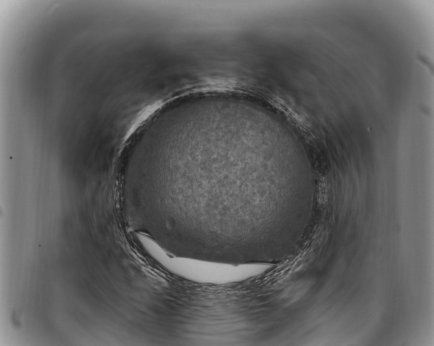 X0000097511208200802291612