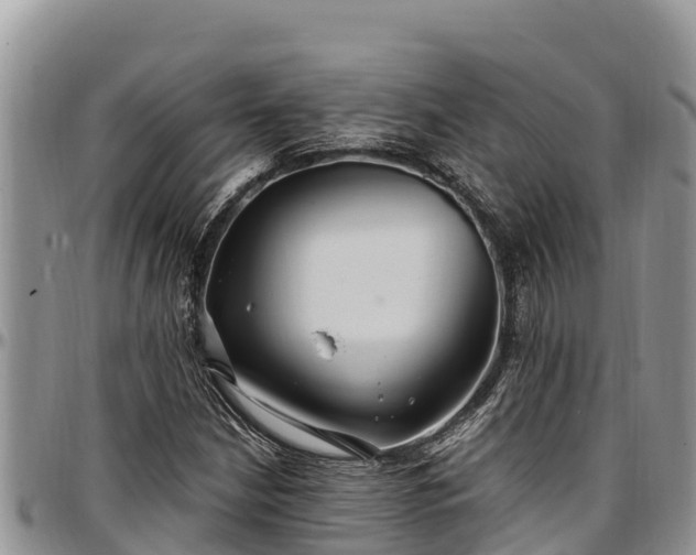 X0000097511210200802291612