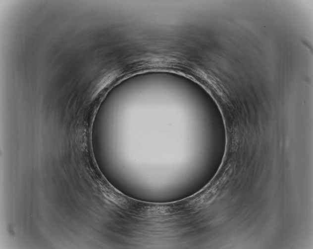 X0000097511211200802291612
