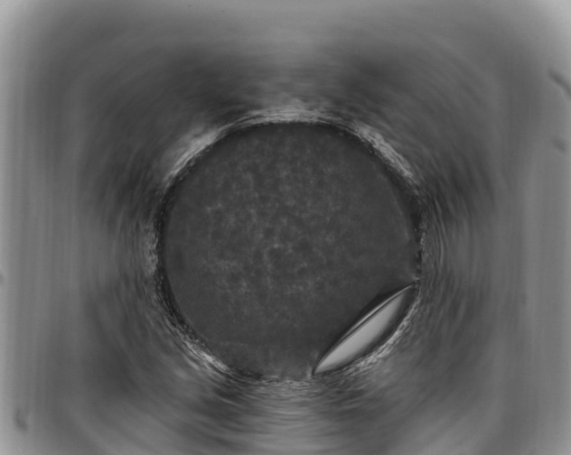 X0000097511213200802291612