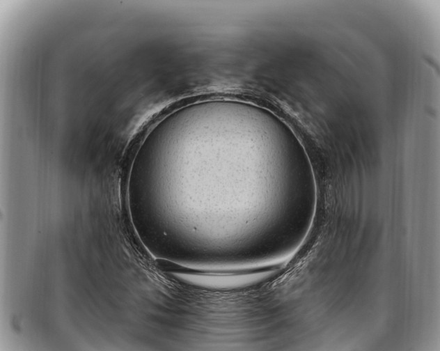 X0000097511214200802291612