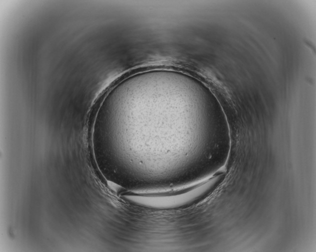 X0000097511216200802291612