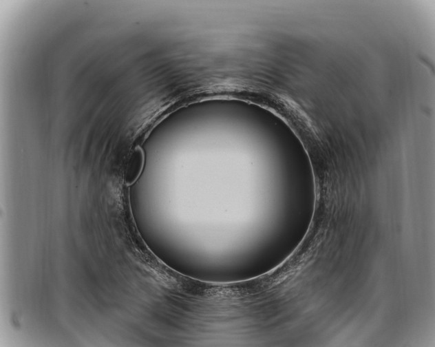 X0000097511217200802291612