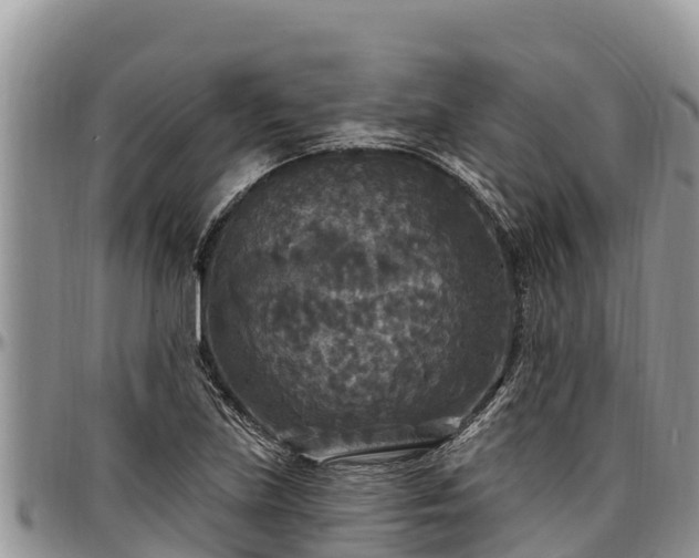X0000097511219200802291612