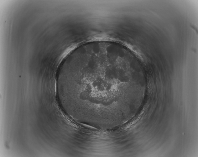 X0000097511221200802291612