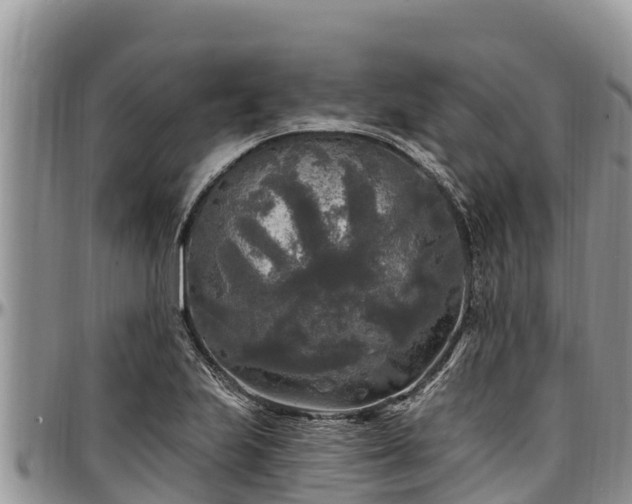 X0000097511223200802291612