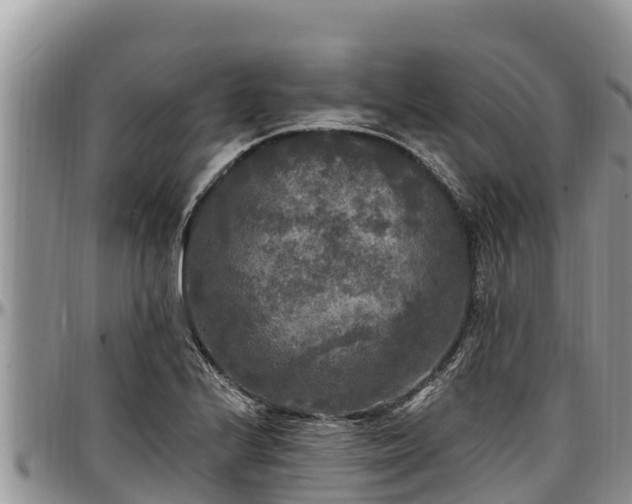 X0000097511224200802291612