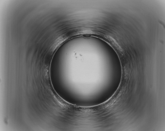 X0000097511225200802291612