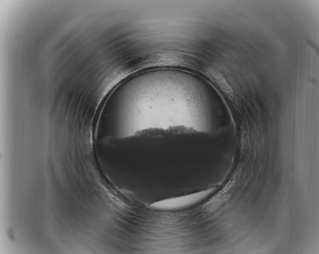 X0000097511226200802291612