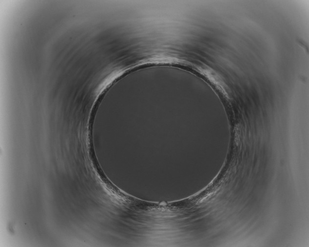 X0000097511229200802291612