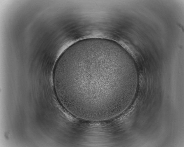 X0000097511230200802291612
