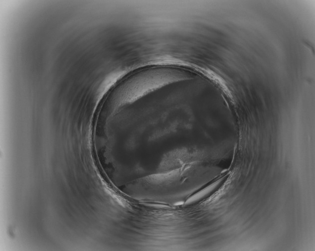 X0000097511231200802291612