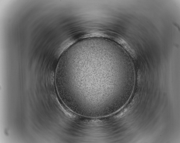 X0000097511233200802291612