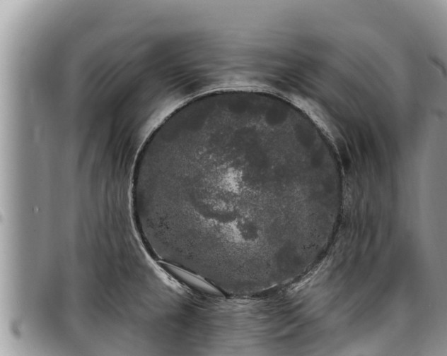 X0000097511237200802291612