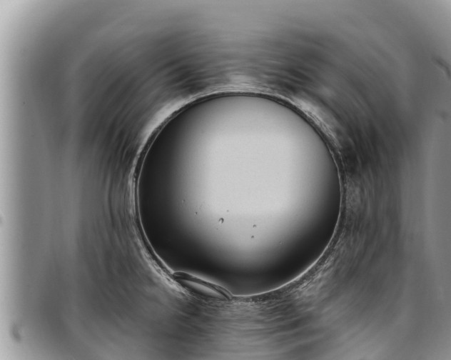 X0000097511238200802291612