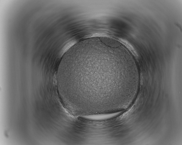 X0000097511241200802291612