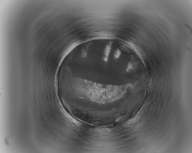X0000097511243200802291612