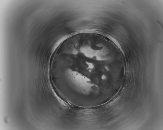 X0000097511245200802291612