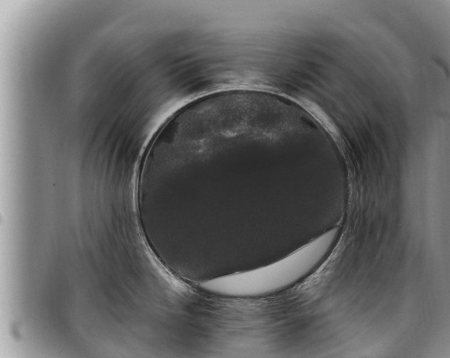 X0000097511246200802291612