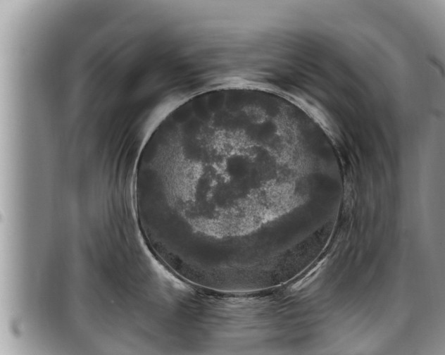 X0000097511247200802291612