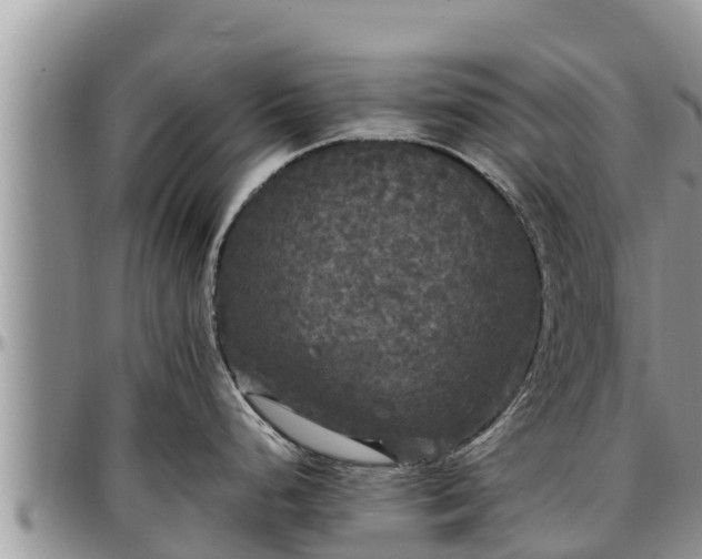 X0000097511248200802291612