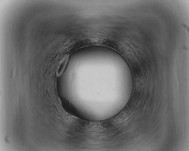 X0000097511249200802291612