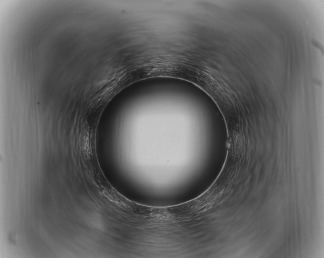 X0000097511250200802291612