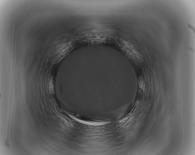 X0000097511252200802291612