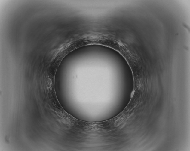 X0000097511253200802291612