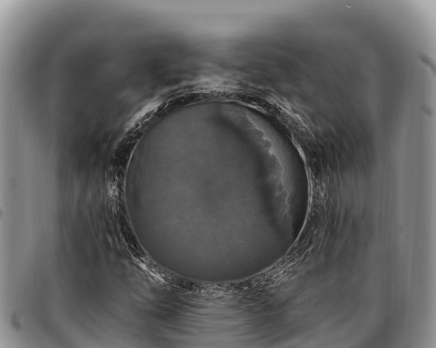 X0000097511254200802291612