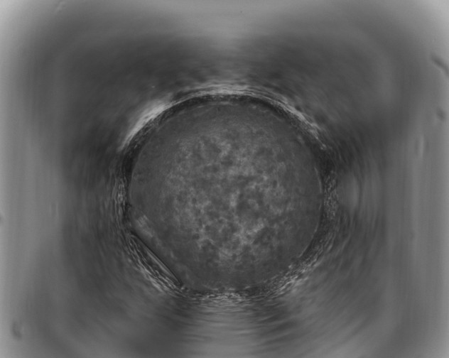 X0000097511255200802291612