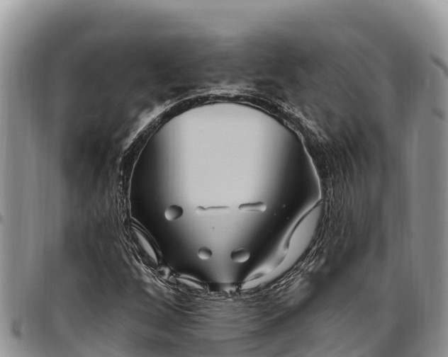 X0000097511256200802291612