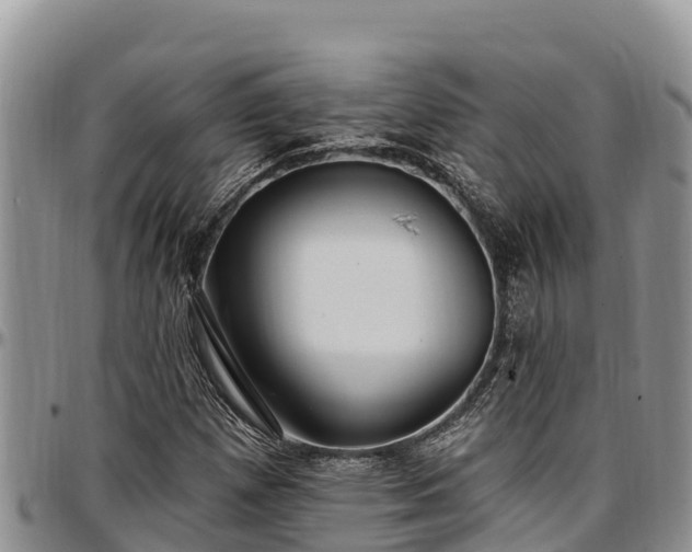 X0000097511257200802291612