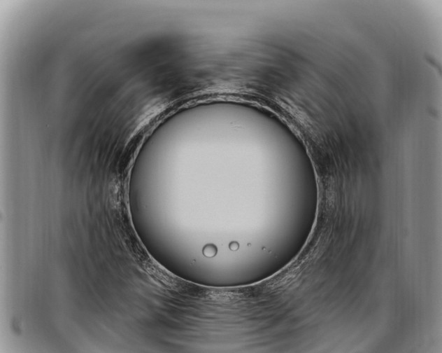 X0000097511258200802291612
