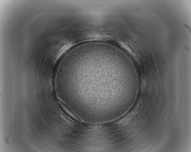 X0000097511259200802291612