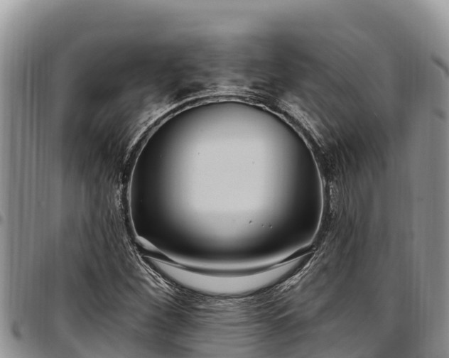 X0000097511260200802291611
