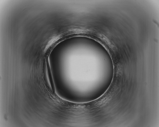 X0000097511261200802291611