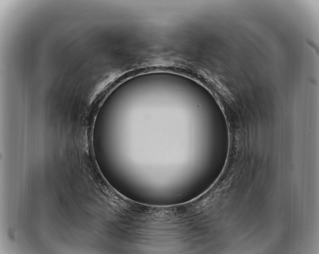 X0000097511262200802291611