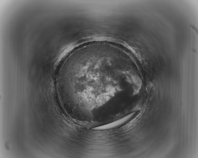 X0000097511263200802291611